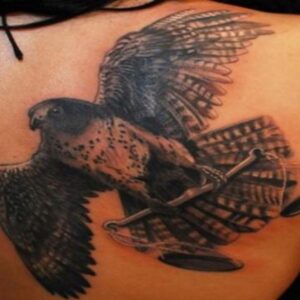 falcon tattoo design on back