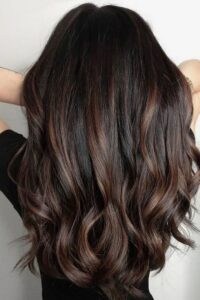 Black Hair with Brown Highlights