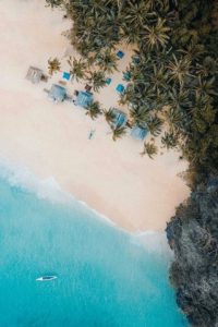 Tropical Summer iPhone Wallpaper