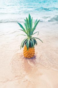 Another Pineapple