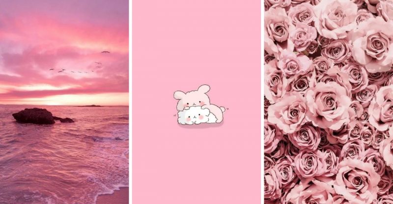 30 Cute Pink Aesthetics Wallpapers for Your iPhone