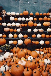 The Pumpkin Patch, fall aesthetic, fall aesthetic wallpaper, pumpkin aesthetic, fall aesthetic photos, fall wallpaper, fall wallpaper iphone, fall wallpaper aesthetic, fall background, fall background wallpaper, fall backgrounds iphone, autumn wallpaper, autumn aesthetic