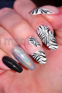 Zebra Stripes Design