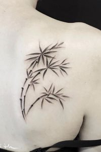 Stalks of Bamboo Shoulder Tattoo