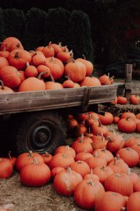 Everything Pumpkins, fall aesthetic, fall aesthetic wallpaper, pumpkin aesthetic, fall aesthetic photos, fall wallpaper, fall wallpaper iphone, fall wallpaper aesthetic, fall background, fall background wallpaper, fall backgrounds iphone, autumn wallpaper, autumn aesthetic