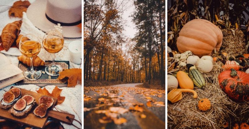 41 Cute Fall Wallpapers For Your Iphone